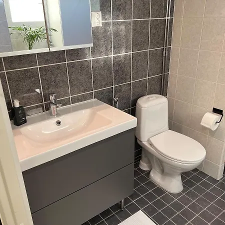 Merellinen Sijainti, Sauna Ja Ilmainen Pysaekoeinti 公寓